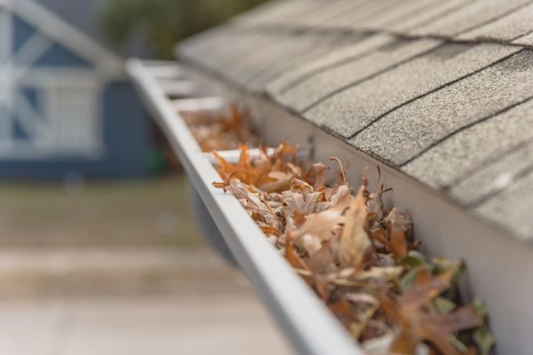 Leaf Barrier Installation in Des Moines